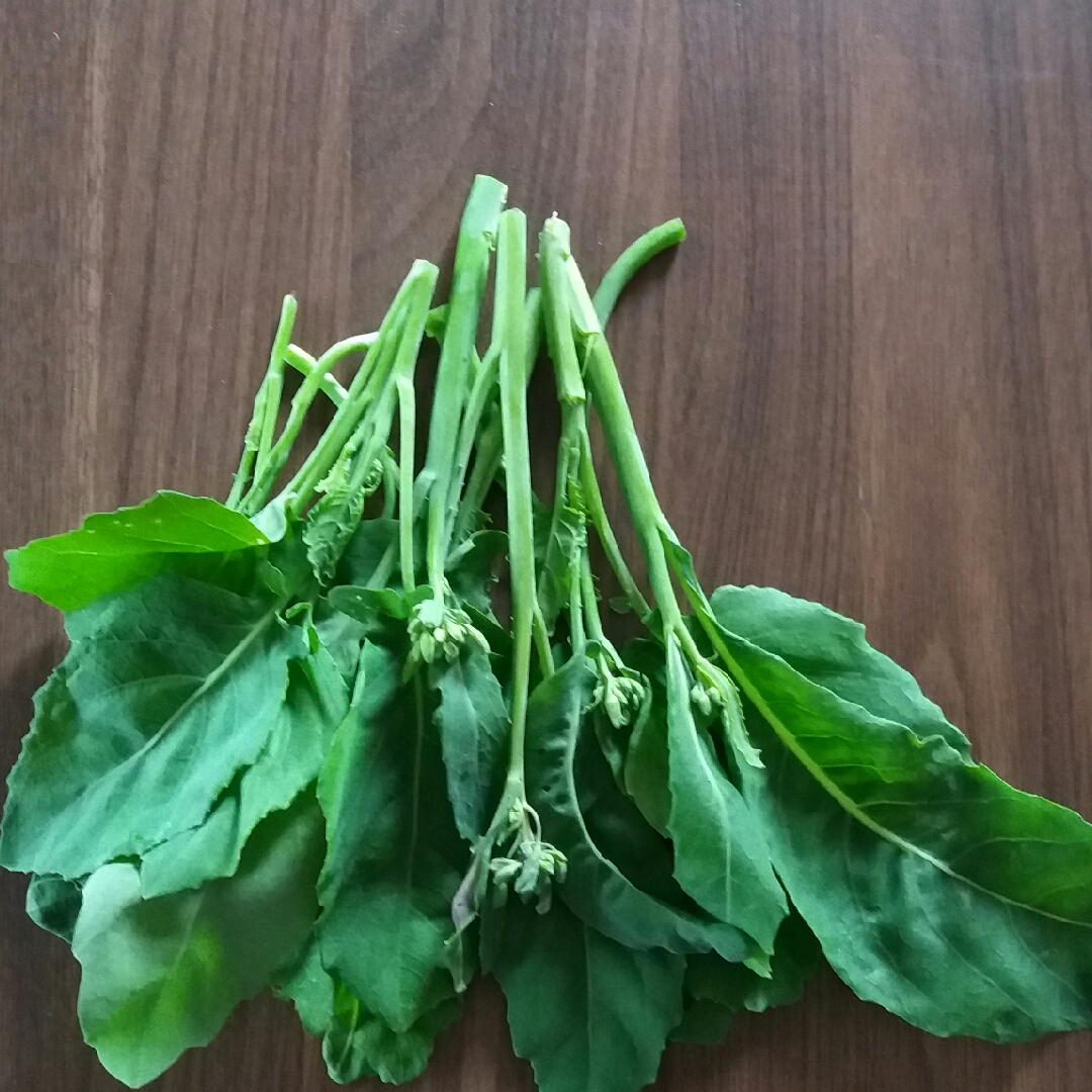 Chinese Broccoli in the GardenTags plant encyclopedia