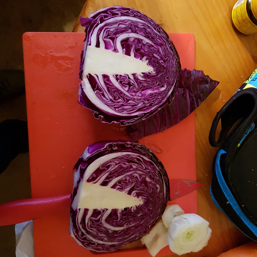 Red Cabbage in the GardenTags plant encyclopedia