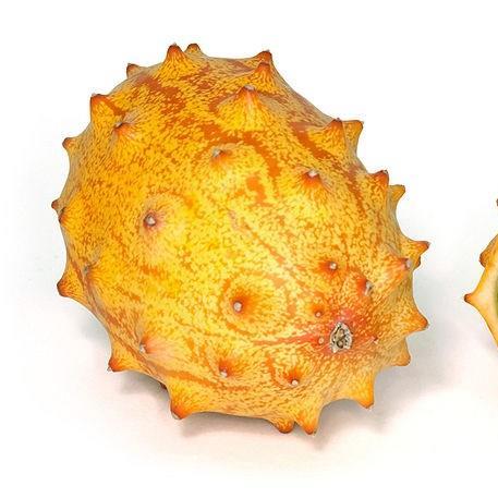 Kiwano Melon in the GardenTags plant encyclopedia