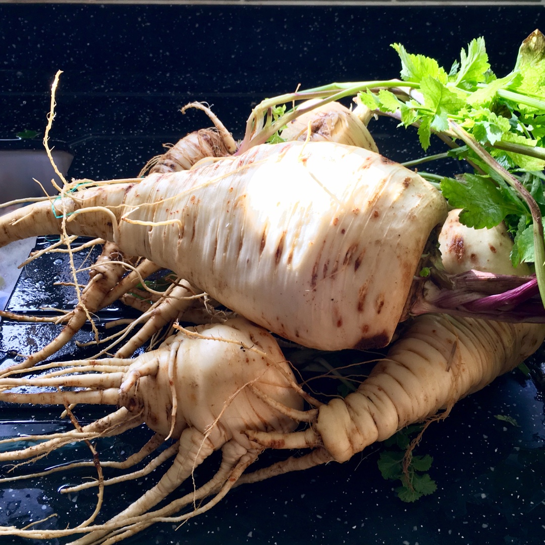 Parsnip Hollow Crown in the GardenTags plant encyclopedia