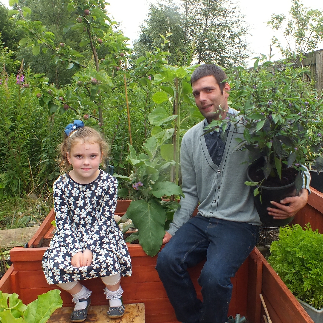 Aubergine Ophelia in the GardenTags plant encyclopedia