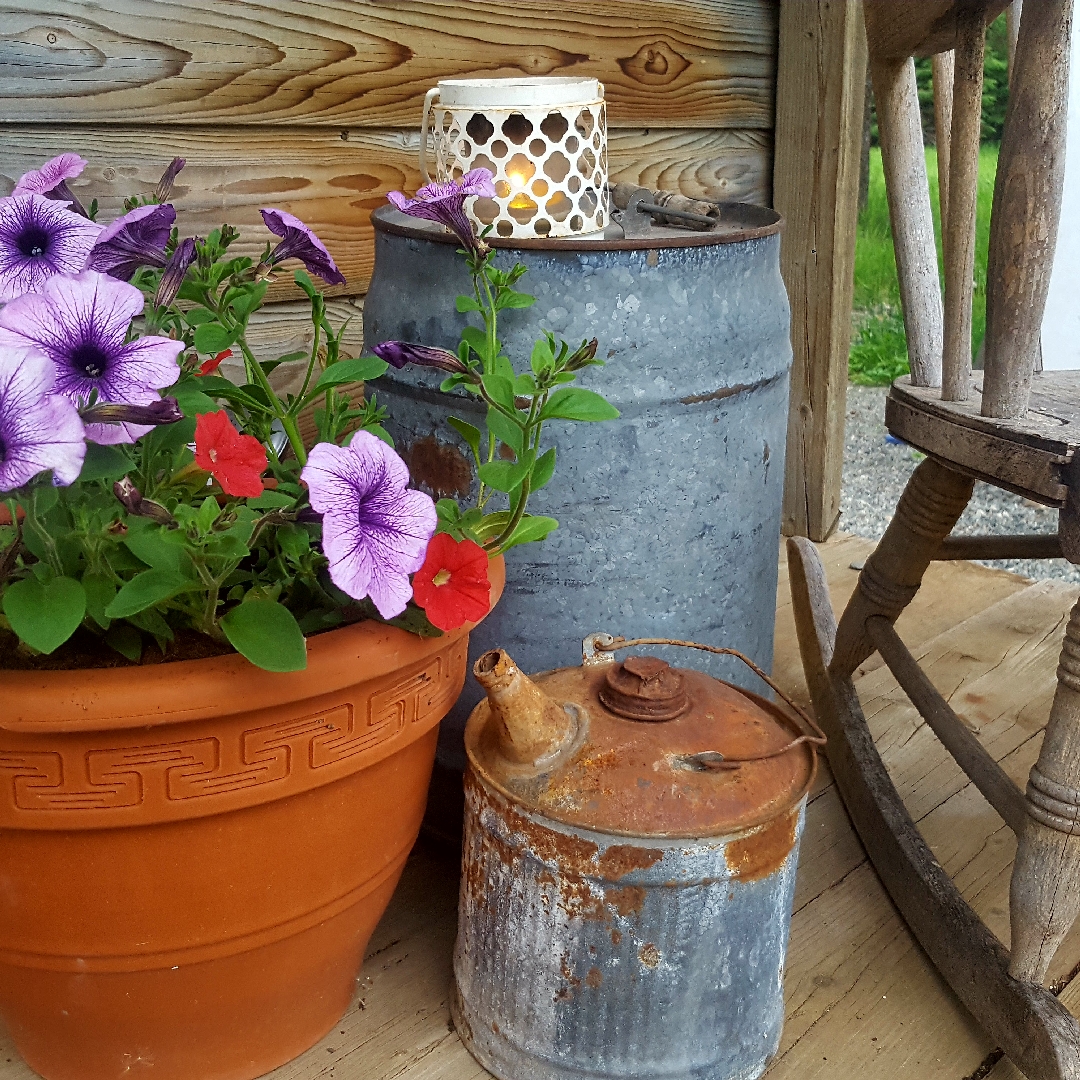 Spreading Petunia Easy Wave® Plum Vein in the GardenTags plant encyclopedia