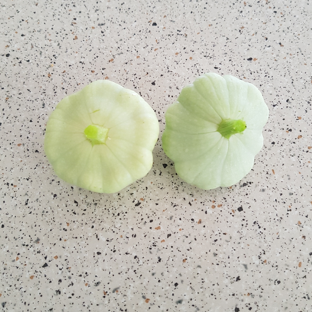 Squash Jeune Et Verte in the GardenTags plant encyclopedia