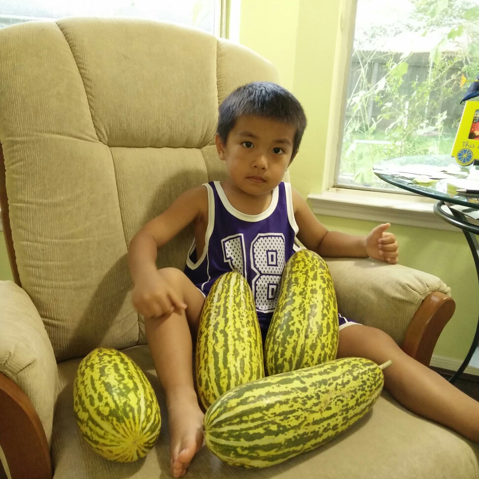 Oriental Pickling Melon in the GardenTags plant encyclopedia