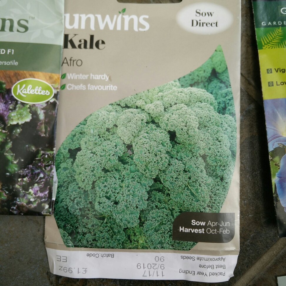 Kale Afro in the GardenTags plant encyclopedia