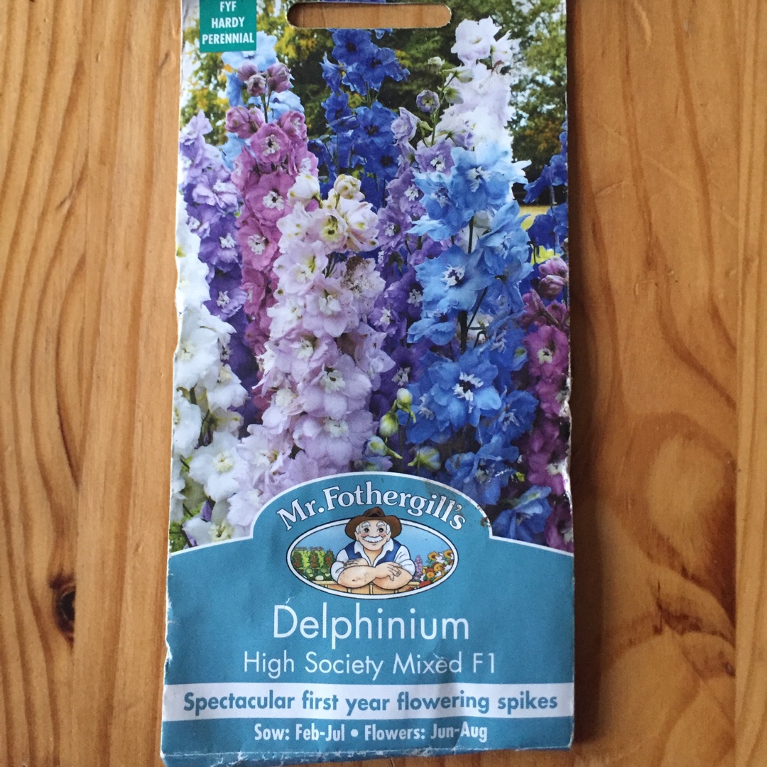 Delphinium High Society (Mix) in the GardenTags plant encyclopedia