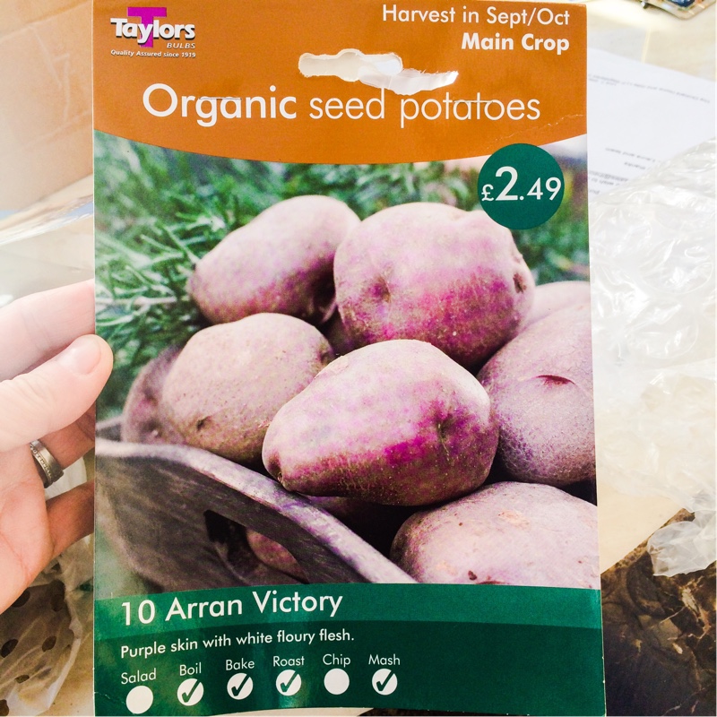 Potato Arran Victory in the GardenTags plant encyclopedia