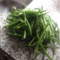 French Bean Cobra in the GardenTags plant encyclopedia