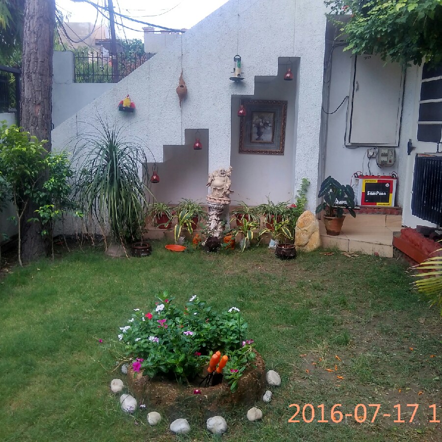 Amit's garden