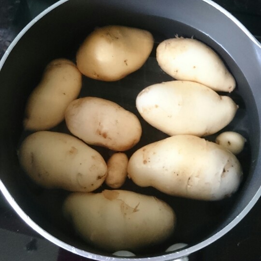 Solanum tuberosum 'Arran Pilot'