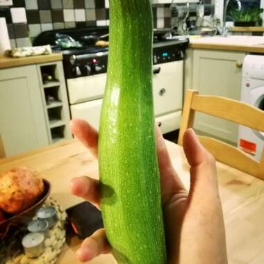 Courgette