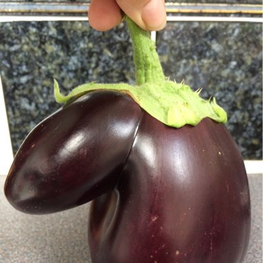 Aubergine 'Pinstripe'