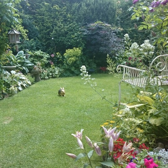 Carole's garden