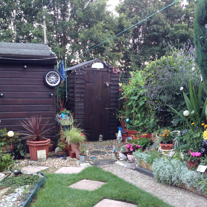 Chrissy's garden