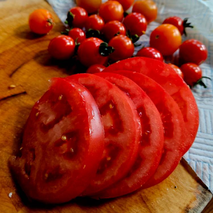 Plant image Solanum lycopersicum 'steak sandwich hybrid'