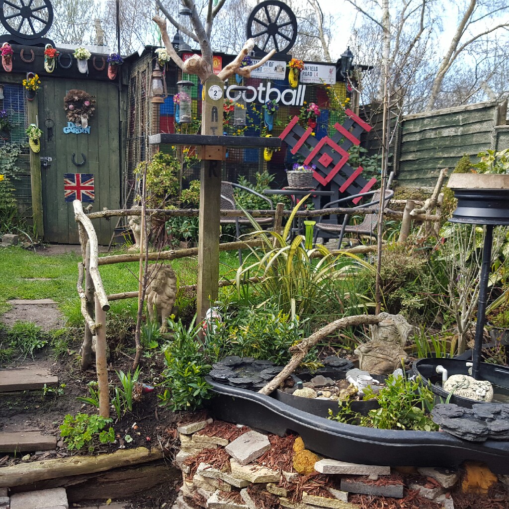 Debbie's garden