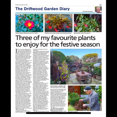 Geoff's garden