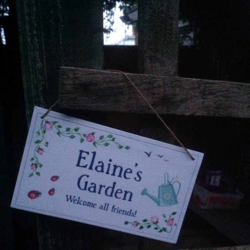 Elaine's garden