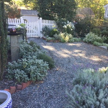 Kristin's garden