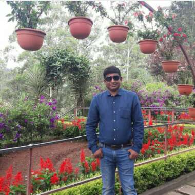 Gaurav's garden