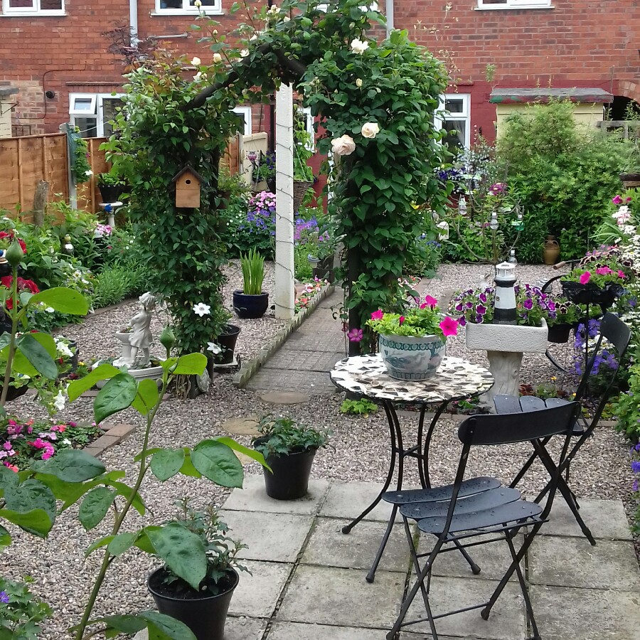 Gail's garden