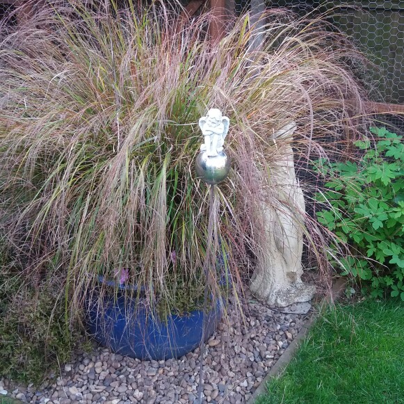 Pheasant's Tail Grass