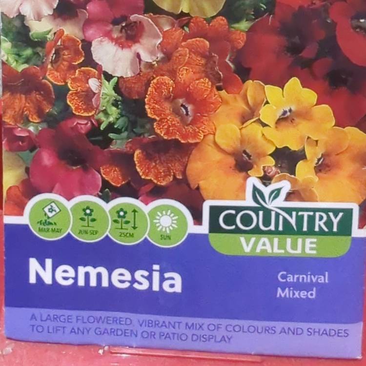 Plant image Nemesia 'Carnival Mix' (mix)