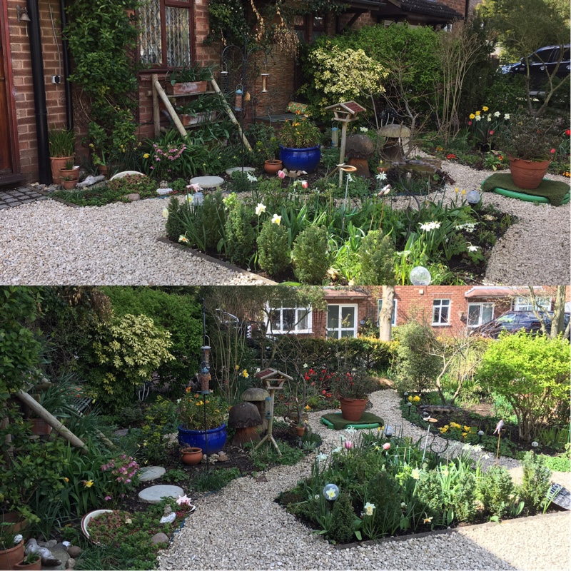 Graham's garden