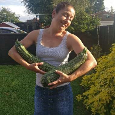 Courgette