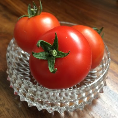 Solanum Lycopersicum var. cerasiforme 'Berry'