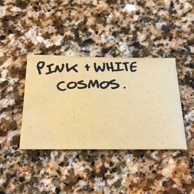 Cosmos