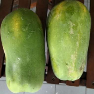 Papaya