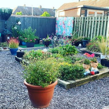 Kirstie's garden