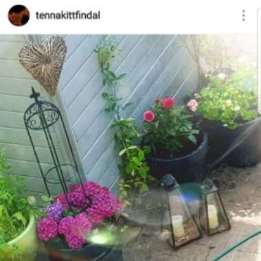 Tenna's garden