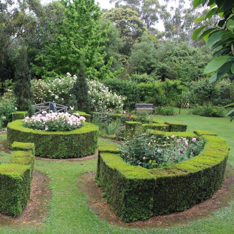 Laurel's garden