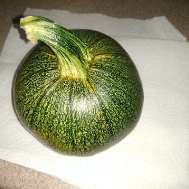 Jack O'Lantern Pumpkin