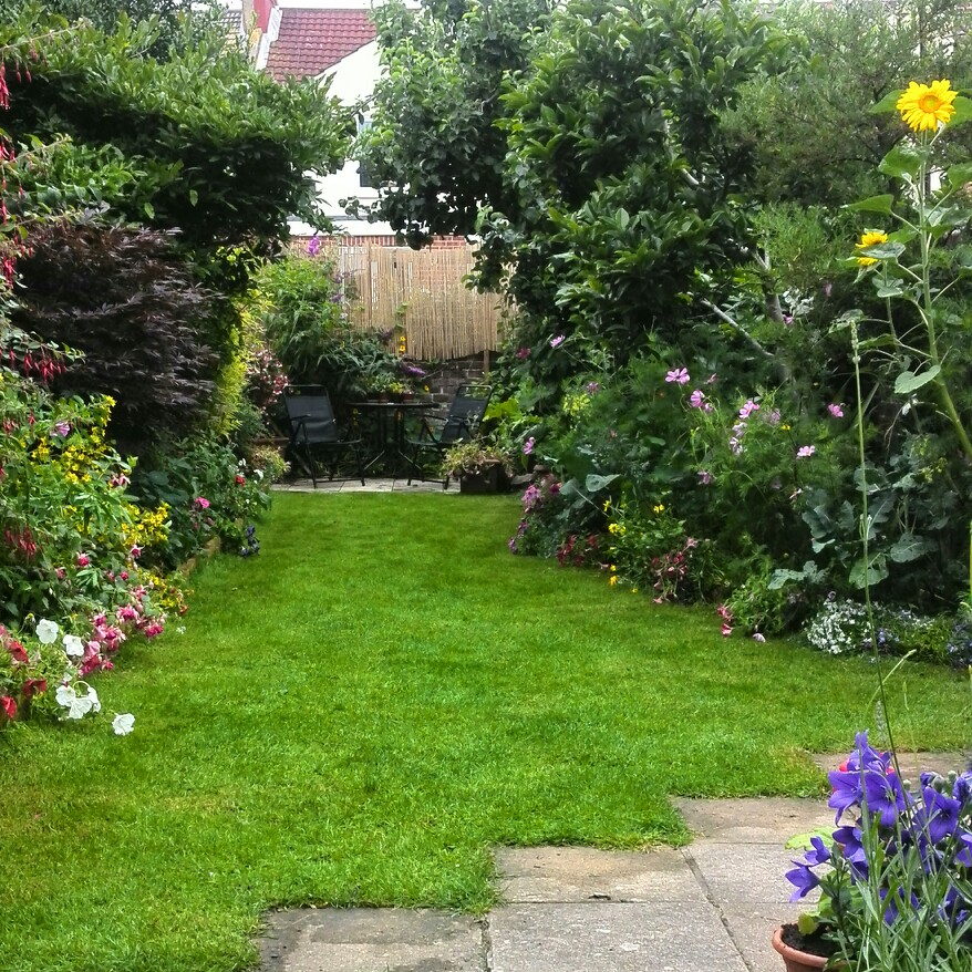 Lynn's garden