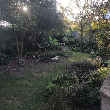 Dee's garden