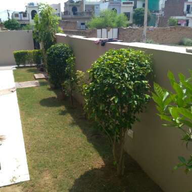 Mannu's garden