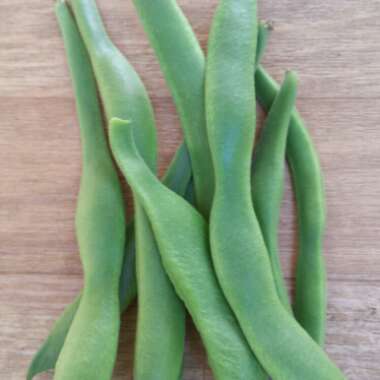 Runner Bean 'Enorma'