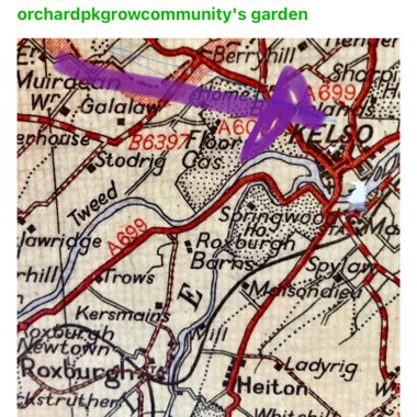 Orchard Park Growing Community's garden