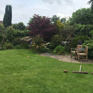 Paul's garden