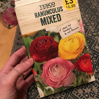 Ranunculus