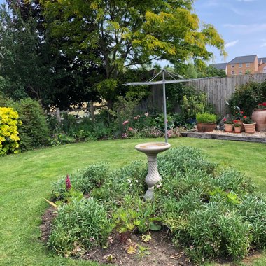 Jo's garden