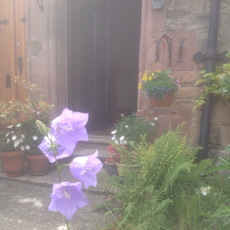 Canterbury Bells