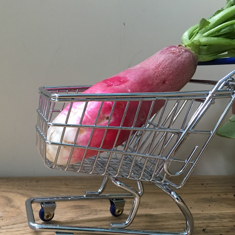 Radish 'French Breakfast'