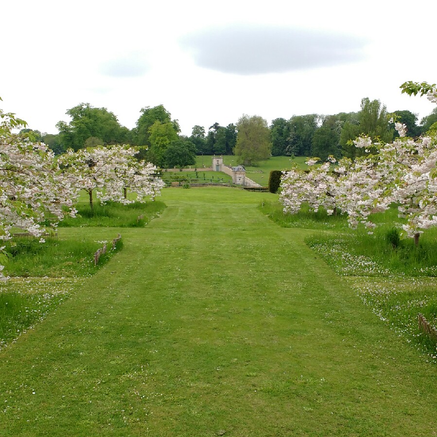 Stephen's garden