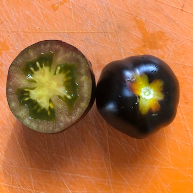 Solanum lycopersicum 'Brad's Atomic Grape'