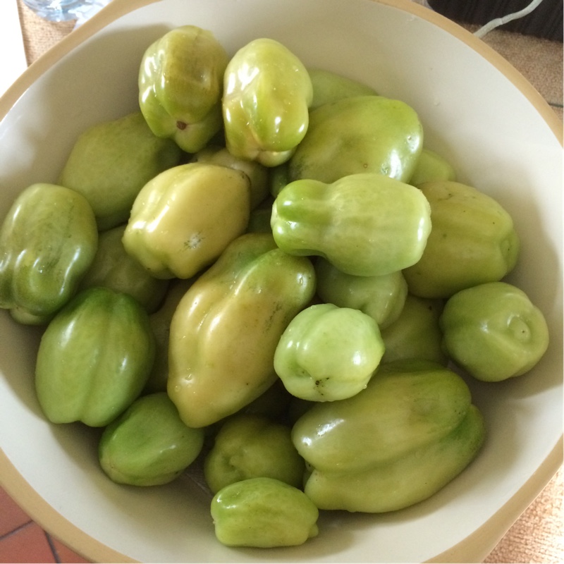 Plant image Solanum lycopersicum 'San Marzano 2' syn. Solanum lycopersicum 'San Marzano II'