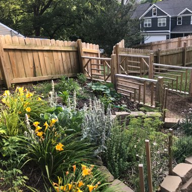 Brad's garden